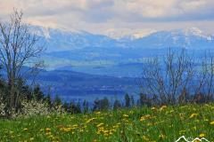 06.widok-na-tatry-zejscie-do-lopusznej