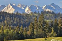 23.tatry-z-podejscia-na-wierchowine