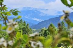 widok-na-bieszczady