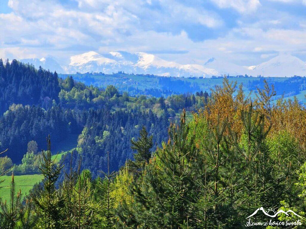 Tatry ze stoku Lubonia Wielkiego