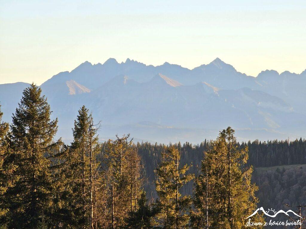 Gorce widok na Tatry